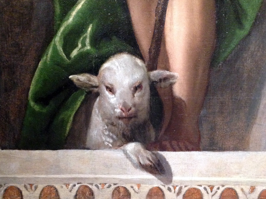 IMG_9539 (1) копия