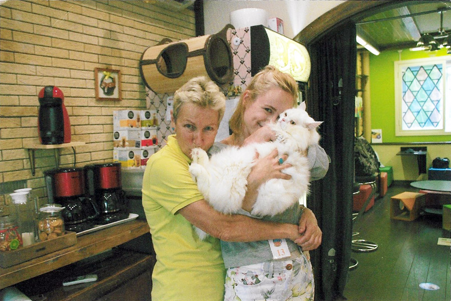 котокафе копия