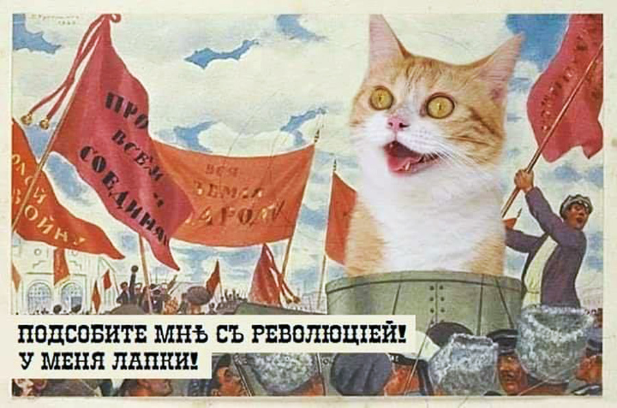 23231404_10213458317065753_7227990347636440516_n