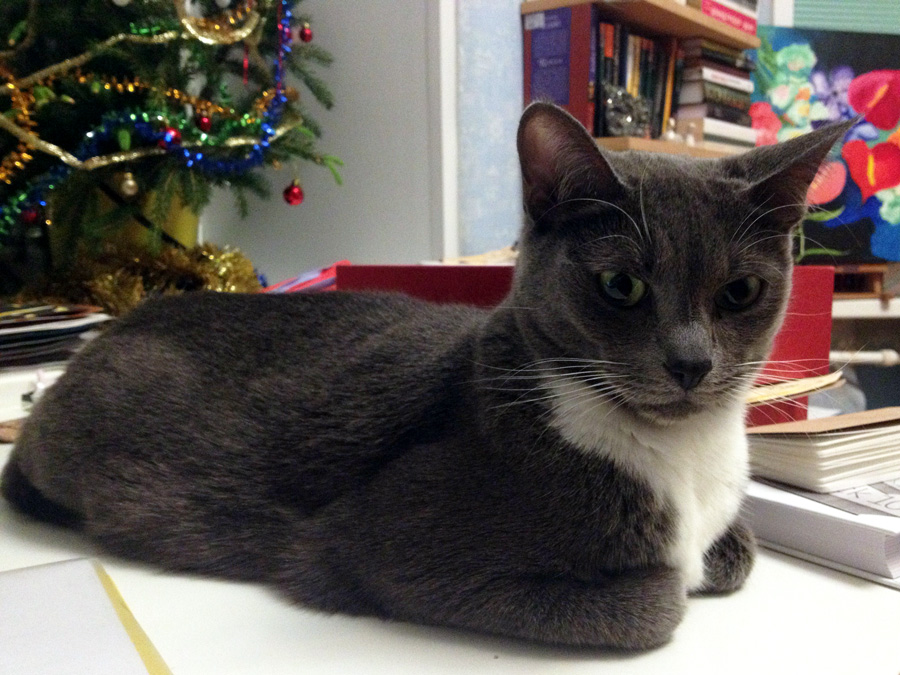 IMG_2406_2 копия